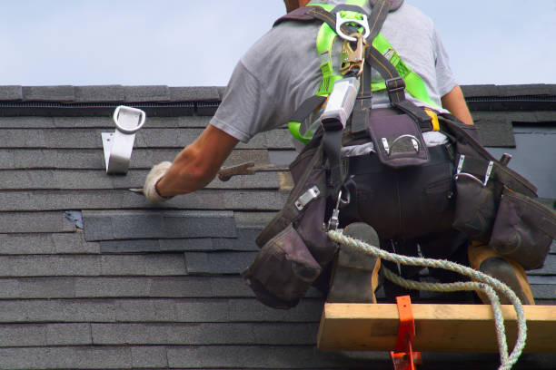 Best Roof Repair Services  in Loudonville, OH