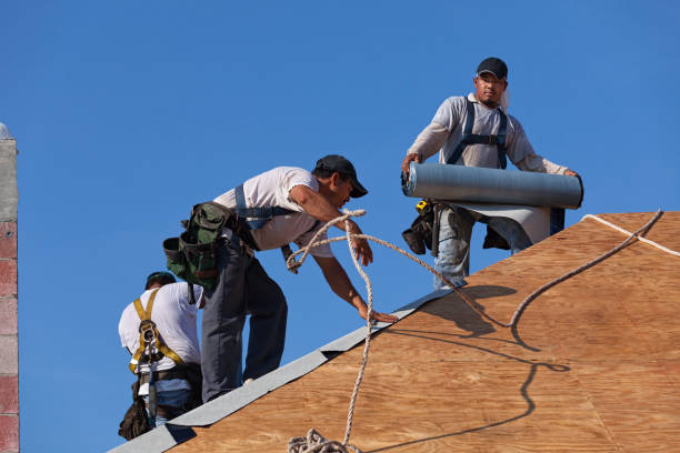 Professional Roofing Contractor in Loudonville, OH