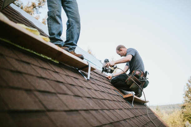 Best Roof Gutter Cleaning  in Loudonville, OH